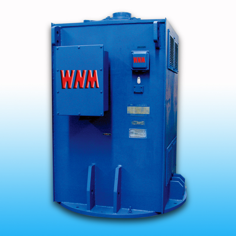 【高效】YL、YLKK系列立式電機（6KV/10KV）